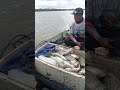 mancing mania... #fishing #mancing #mancingmania #casting #barramundi