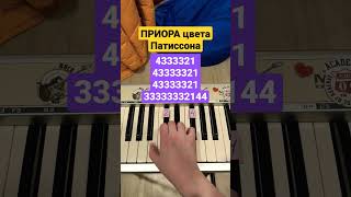 Приора цвета патиссона #shorts #pianotutorial #пианинодляначинающих #pianocover #piano #easypiano