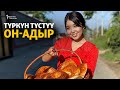 Түркүн түстүү Он-Адыр