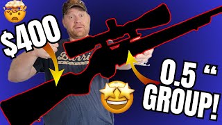 Gun Snobs HATE this Rifle!!! [With Full Ammo Test] Savage 334 .30-06 Ammo Test