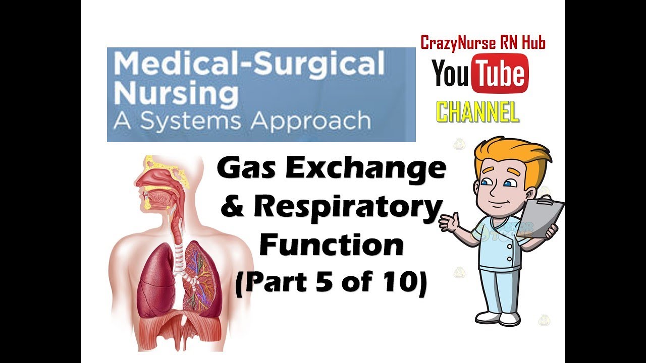 MedSurg Upper Respiratory Tract Disorders Part 1 of 2 YouTube