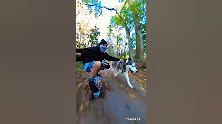 Her dog likes to be called cute 🤣 #shorts #viral #video #views #funny #short #dog