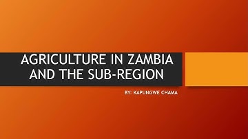 Geography (Agriculture in Zambia and the sub region)