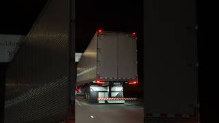 Palmeira Elegance na estrada