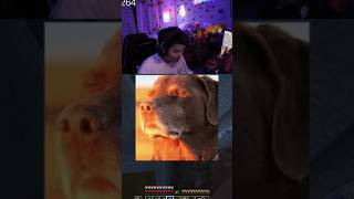 CLUTCH WATER BUCKET #s0m #minecraft