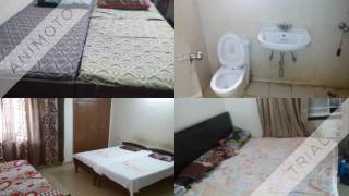 Wow Pg House 9555-500-900