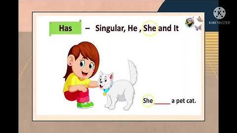 MLZS JHANSI CLASS 2 English Grammar Chapter 8 Has Have Lecture 1