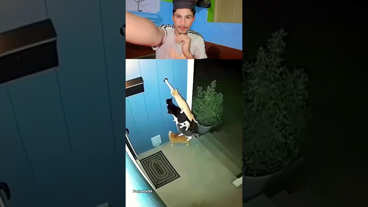 रेडमी 🤪🤣😱 