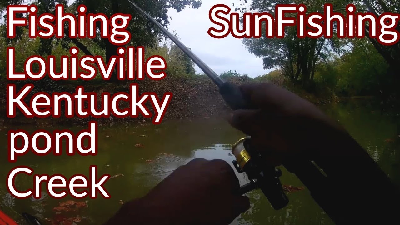 Fishing Louisville Kentucky Pond Creek SunFishing YouTube