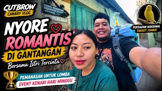 Vlog Gantangan || Pemanasan burung untuk event hari minggu di gantangan singosaren