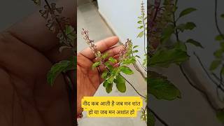 नींद कब आती है #katha #motivation  #aniruddhacharyakatha #shorts astrology #aniruddhacharya