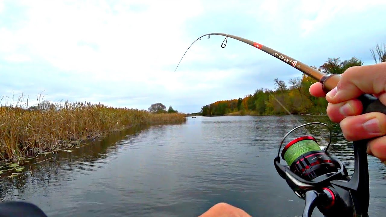 ТАКОЕ У МЕНЯ ВПЕРВЫЕ. СНАСТЬ НЕ ВЫДЕРЖАЛА ОСТРЫХ ЗУБОВ ЩУКИ. Рыбалка на спиннинг сказочной осенью