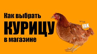 Как выбрать курицу в магазине