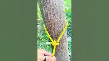 Practical Knots Everyone Should Learn for Daily Life❤️👌#shorts