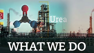 How Do We Enable The World To Feed Itself At Stamicarbon ?