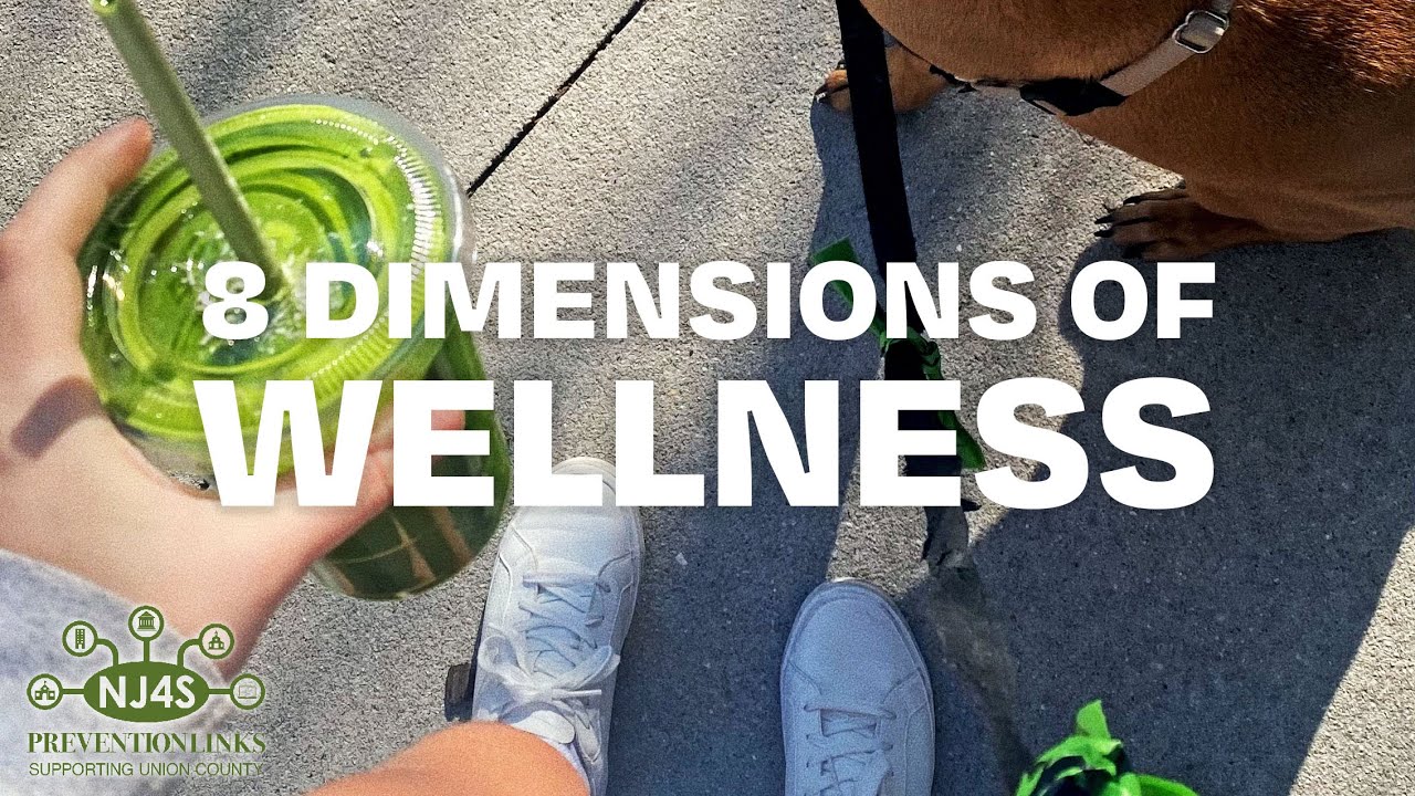 The 8 Dimensions of Wellness | NJ4S Union | Tier One Service - YouTube