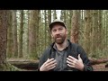 The Immersion: Wildlife Tracking