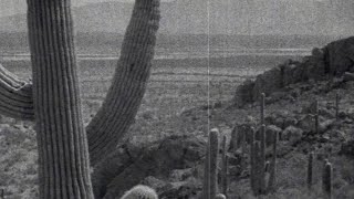 Dire Straits  Water Of Love