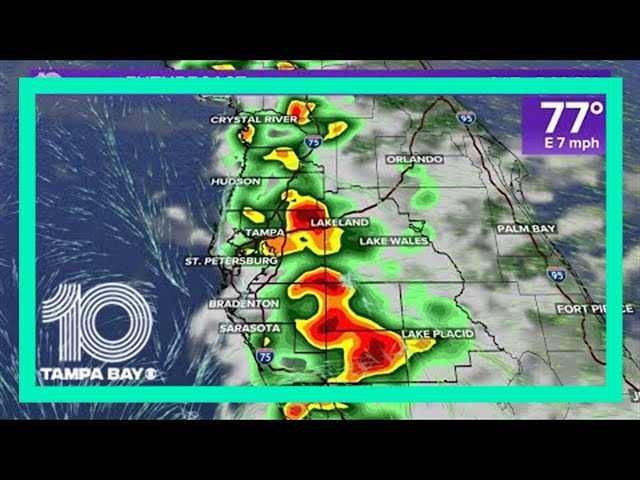 Current Weather Tampa Florida