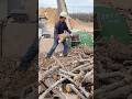 Instant Wood Shred