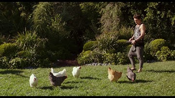 WHY HIM (2016) - Chicken Parkour Fight Scene - Movie Clips HD