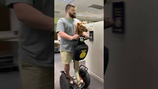 The Infamous Ffa Segway