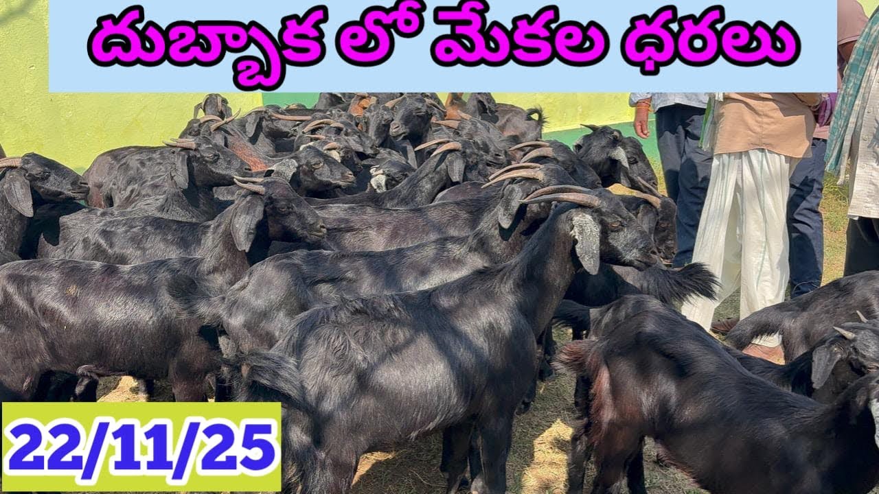 దుబ్బాక అంగడి సిద్దిపేట జిల్లా 
