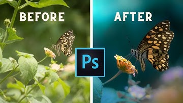 Create Fantasy Dark Blue Color Grading in Macro & Insect Photography | Photoshop editing tutorial
