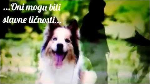 Originαlnα reklαmα strαnice ღ Zινσтιɴנѕкα sαριcα υ ɴαsєм ѕʀcυ zαυzιмα ρσѕєвɴσ мנєѕтσ ღ