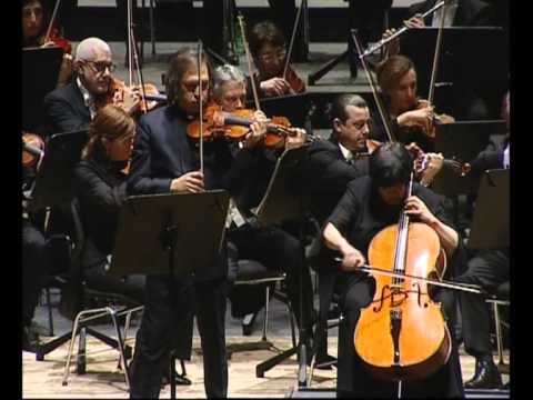 Brahms Double Concerto Sviatoslav Moroz and Natalia Gutman