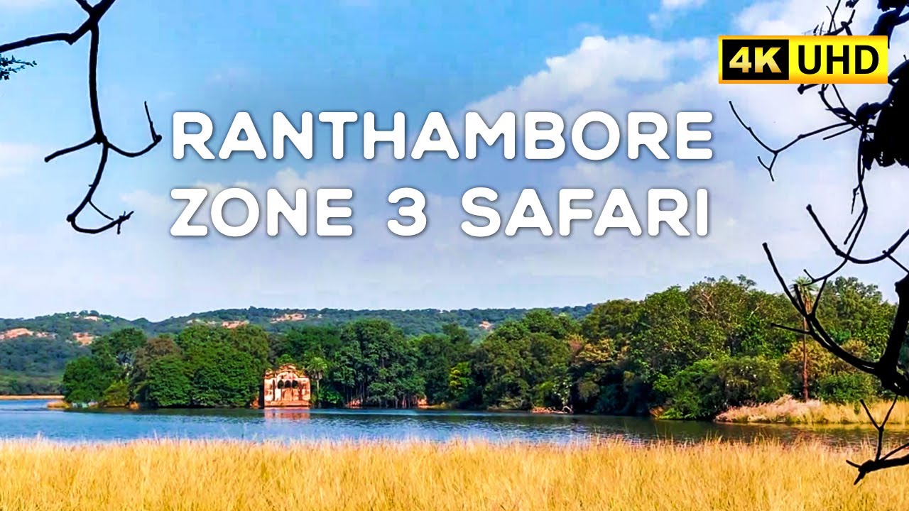 ranthambore safari zone 3