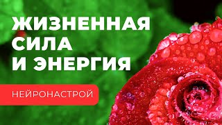 🎧 Нейронастрой на жизненную силу и энергию | Практика для восстановления ресурса