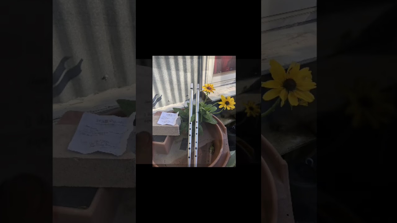 Bernard Overton 💎