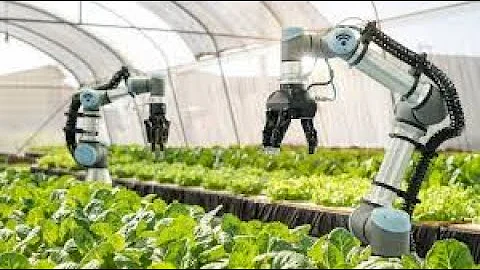 The Montgomery Agriculture Channel -The Futuristic Farms That Will Feed the World