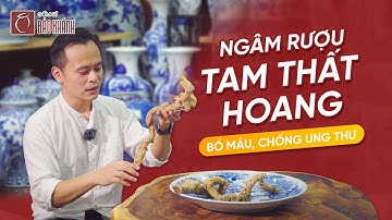 Cách ngâm rượu Tam thất hoang chuẩn, bổ máu, chống ung thư, tăng cường sinh lý.