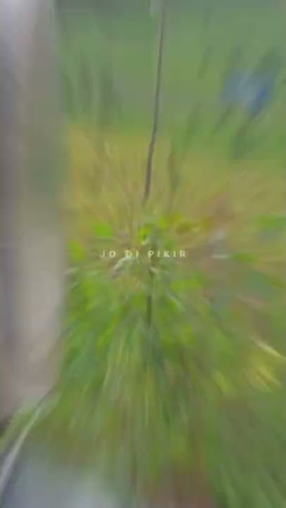 story wa Dj jokotingkir