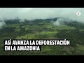 Deforestación en la Amazonía: así se ven, desde el aire, las presiones a los bosques | El Espectador