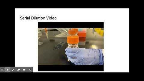 LESSON AND PROTOCOL LAB 3: ESTIMATING BACTERIAL POPULATIONS - Google Slides