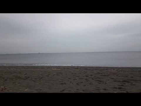 勝手にシンドバッド🌊歌ってみた🎵