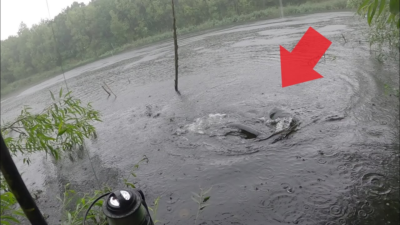 В новом забытом пруду водится огромная ЩУКА!