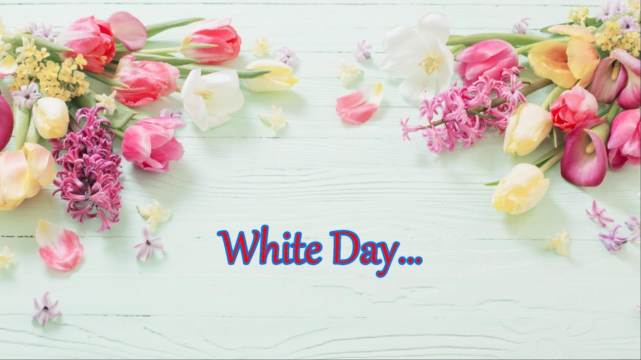 ささやかな贈りもの ホワイトデー Type２ White Day ﾒｰﾙsns添付short動画メッセージ 在宅型ホワイトデー ありがとう Youtube