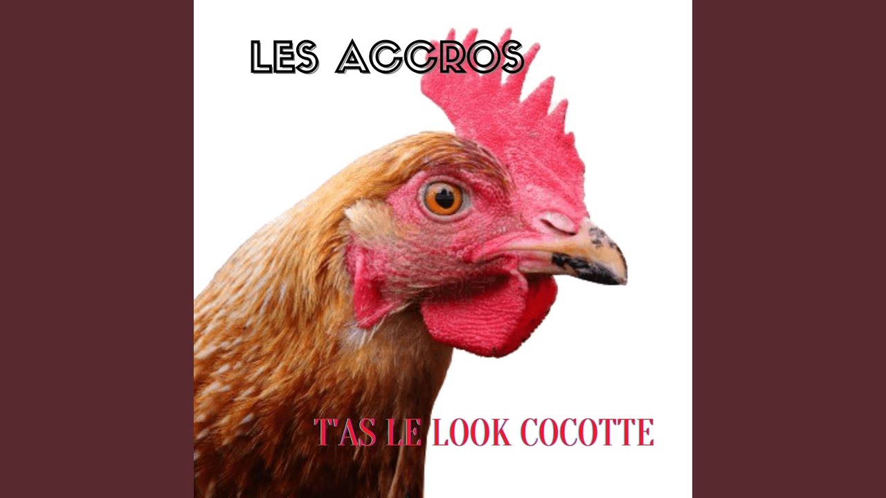 T'as le look cocotte (New Beat Remix) - YouTube