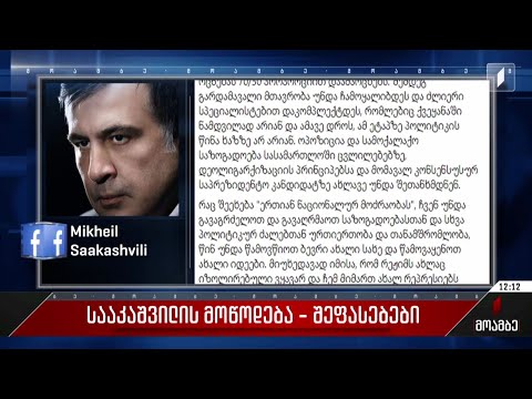 სააკაშვილის მოწოდება - შეფასებები პოლიტიკურ სპექტრში