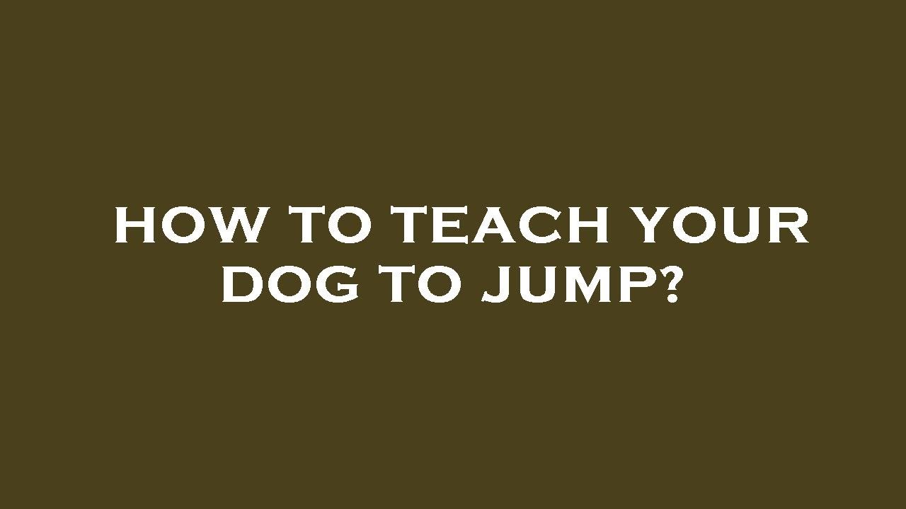 How to teach your dog to jump? YouTube