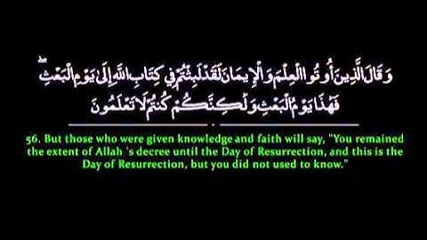 سورة الروم أية ٥٣ الى ٦٠