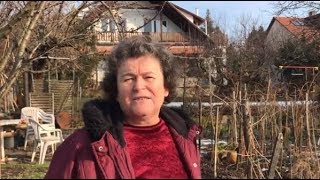 Ribizli Tavaszi Metszése