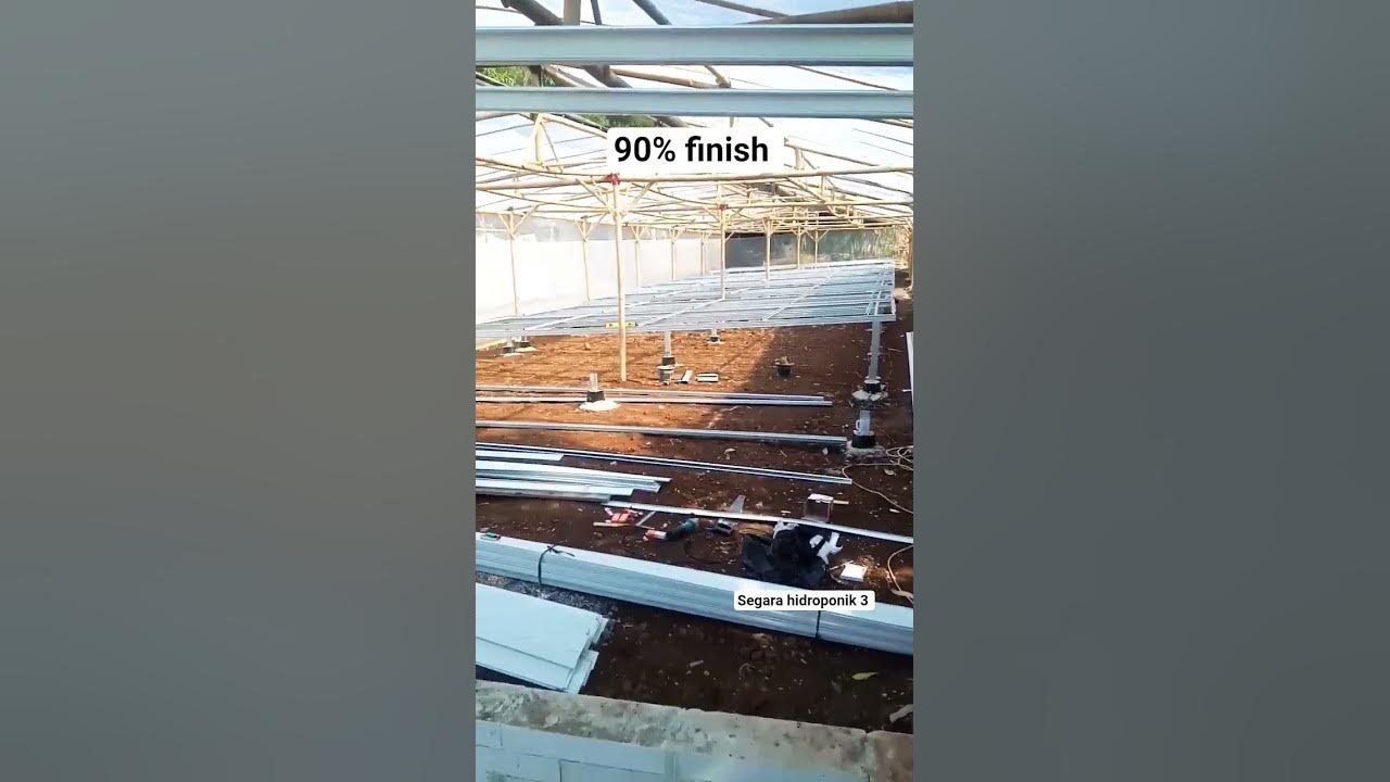greenhouse hydroponics #fyp #trend #viral #short #hydroponics #lettuce #video #youtubeshort