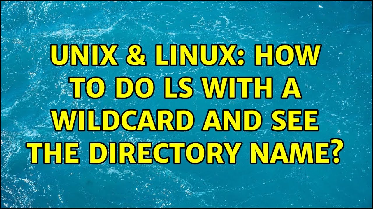 Unix Linux How To Do Ls With A Wildcard And See The Directory Name 
