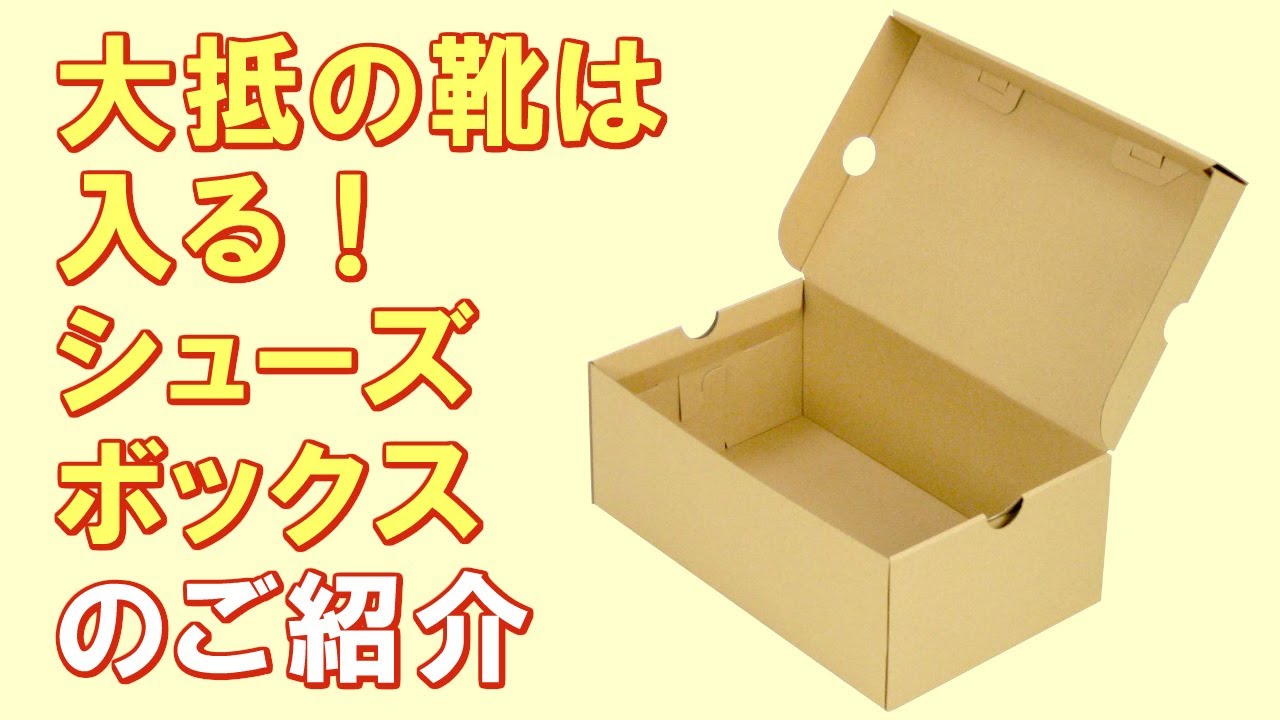 ダンボール 収納ケース シューズボックス スニーカー用 100枚 (0169) - 8