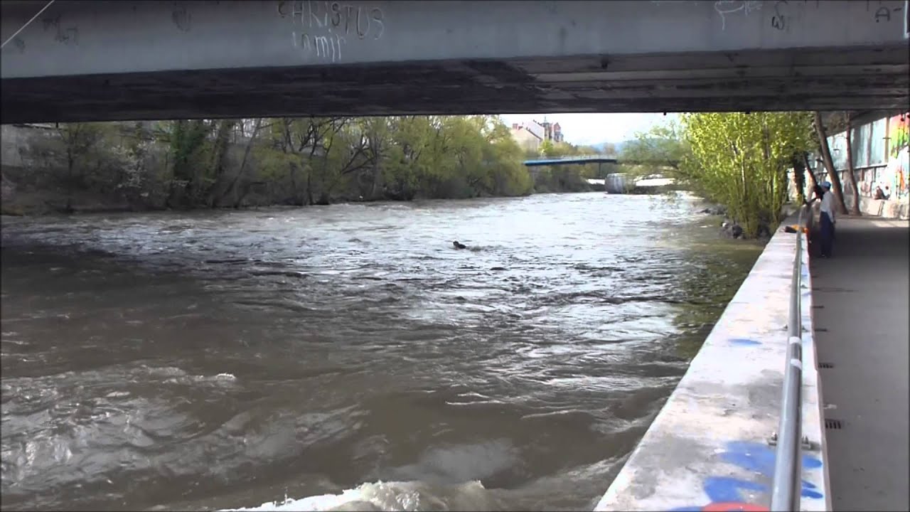 April 16, 2015 surfing mur river